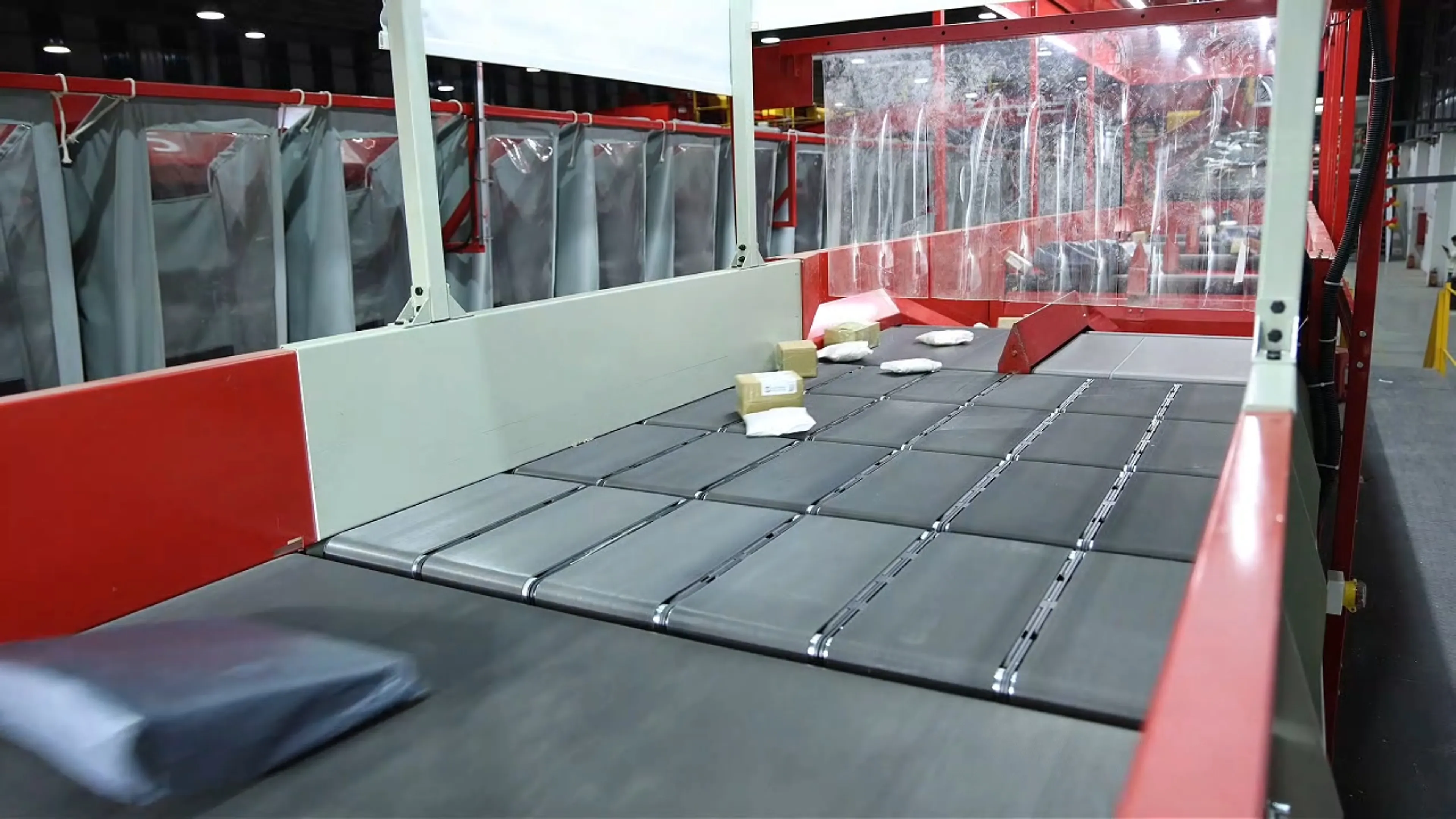 Automated Parcel Singulator