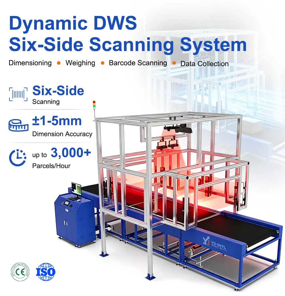 Dynamic Six-Side DWS System Overall Layout
