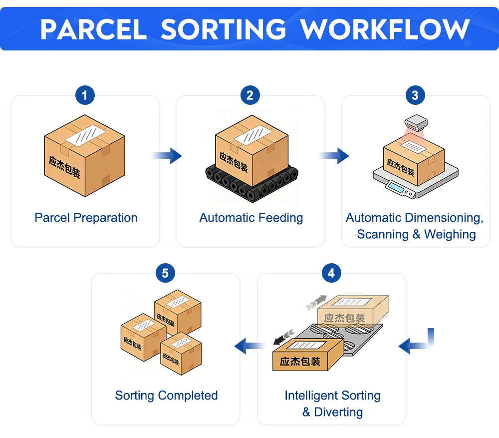 Dynamic DWS and Swivel Wheel Sorter workflow