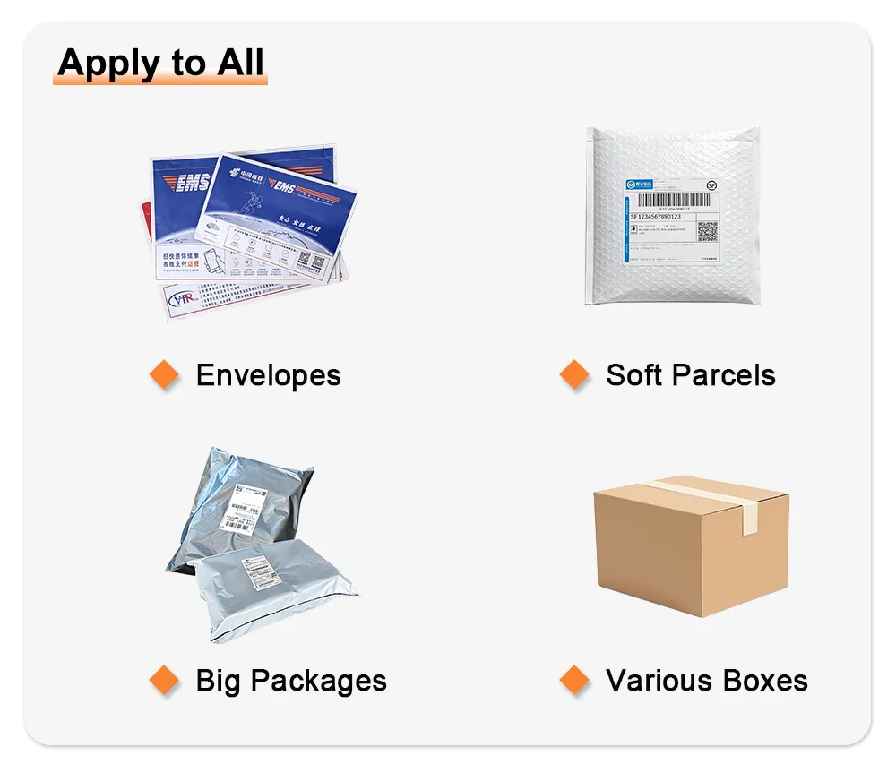 Static DWS Four-Destination Parcel Sorting application package types