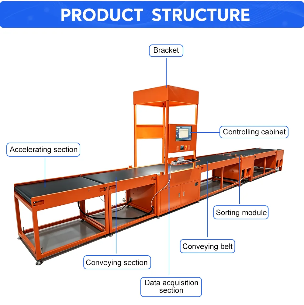 Integrated Parcel Measurement and Sorting Line structure