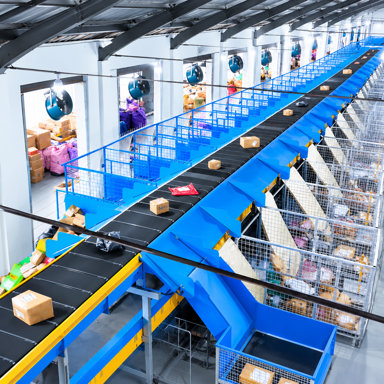 narrow belt sorting machine