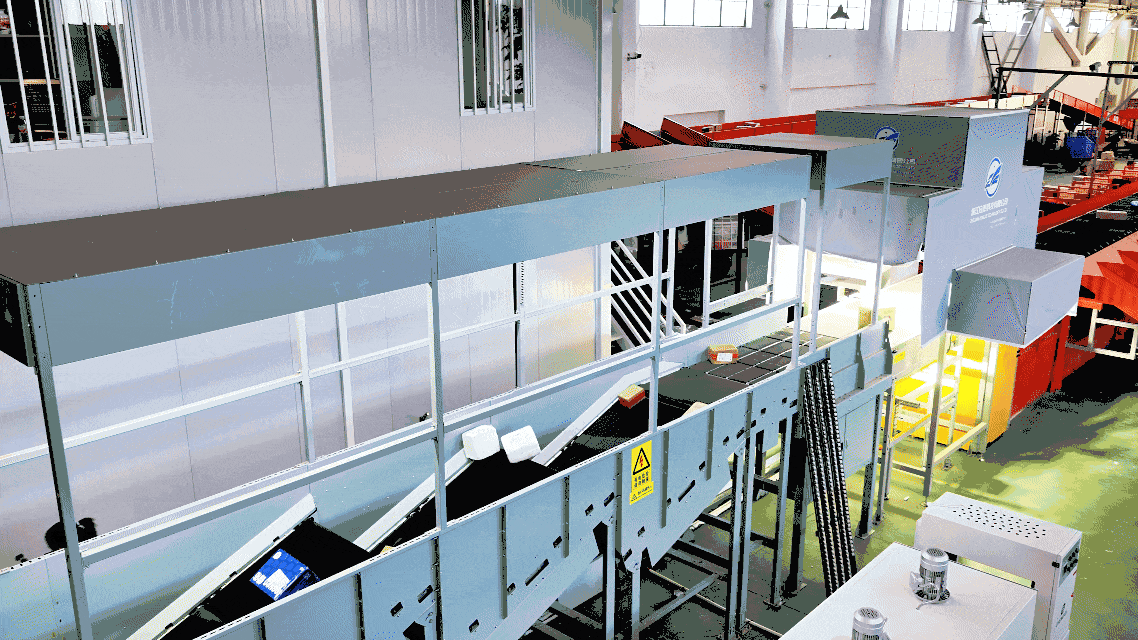 4x5 Matrix Singulation and 15 Degree Centering Conveyor