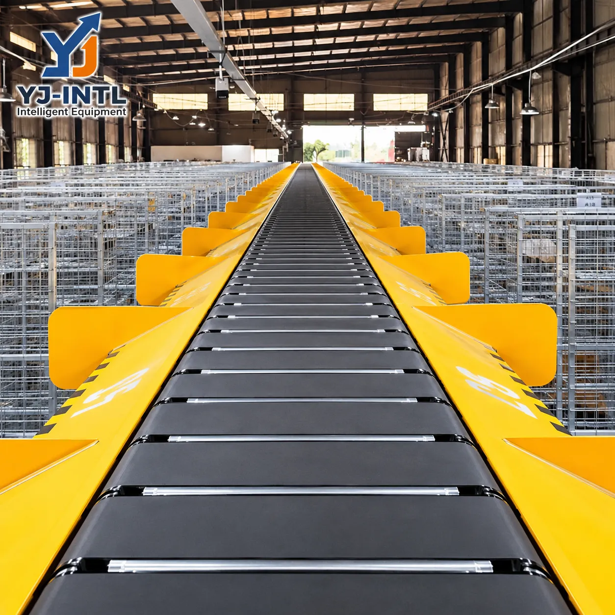 Narrow Belt Sorter